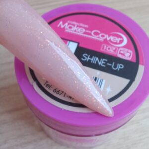COVER SHINE1 /4