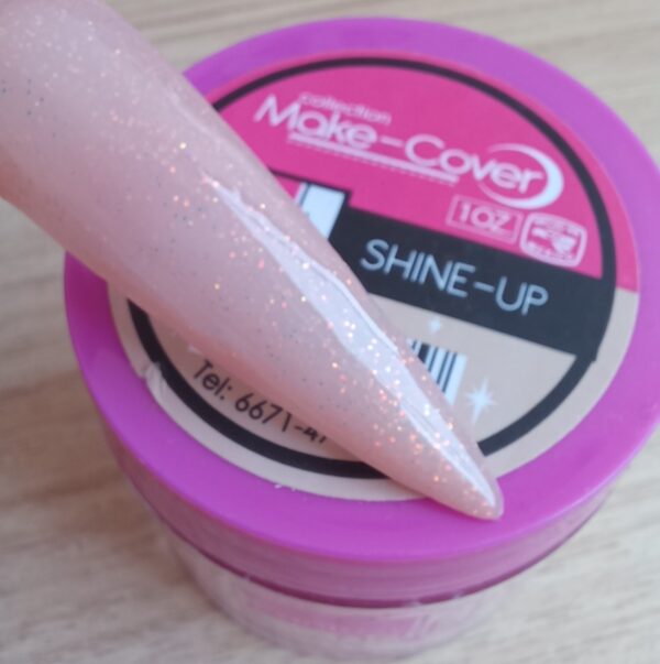 COVER SHINE1 /4