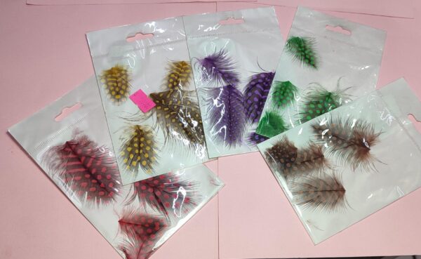 Plumas decoraciones para uñas