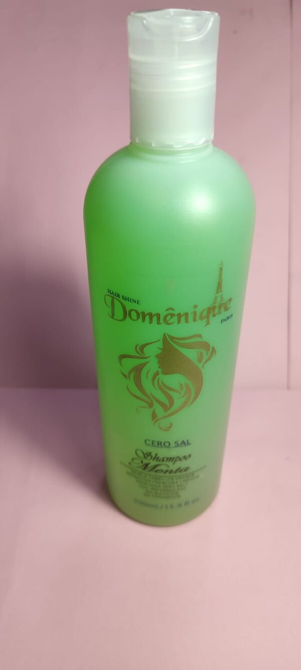 Shampoo Menta  cero sal