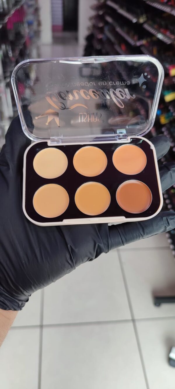 Paleta de polvos cremosos 6 colores