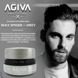 Cera wax spider grey